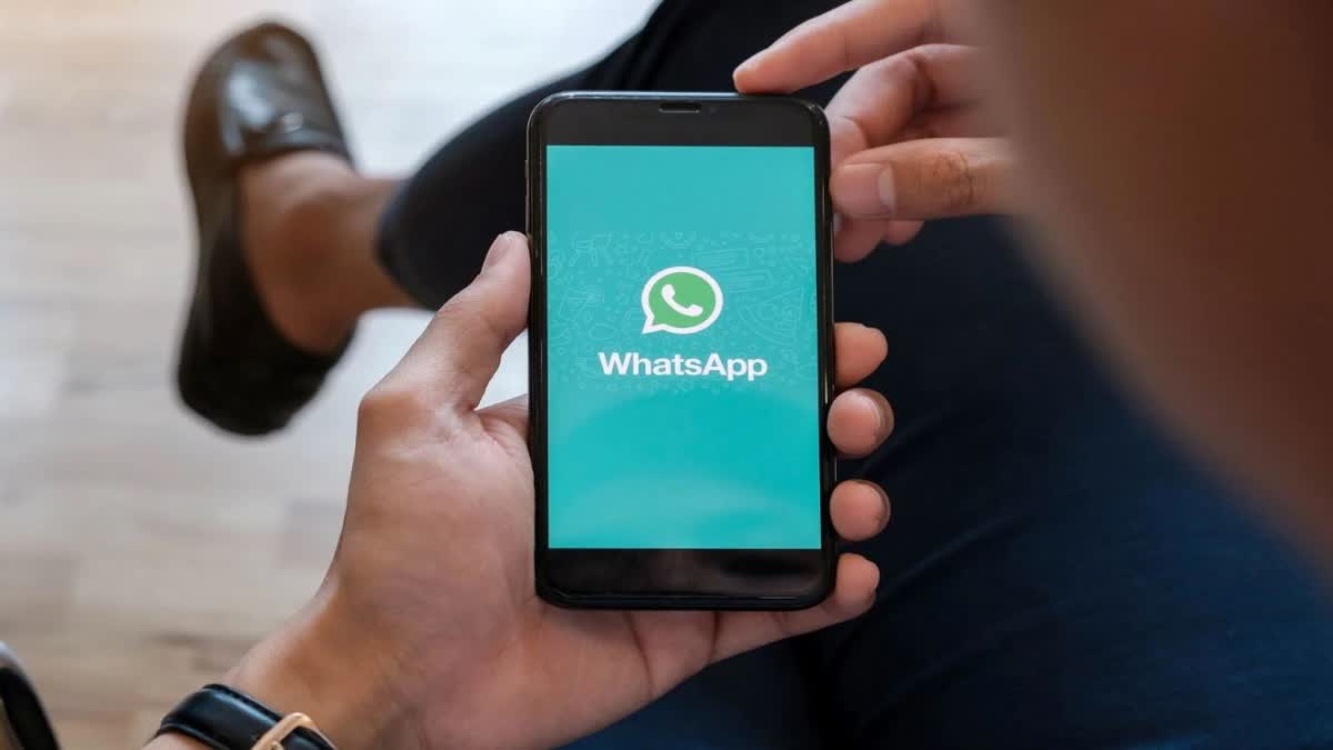 WhatsApp Business New Feature