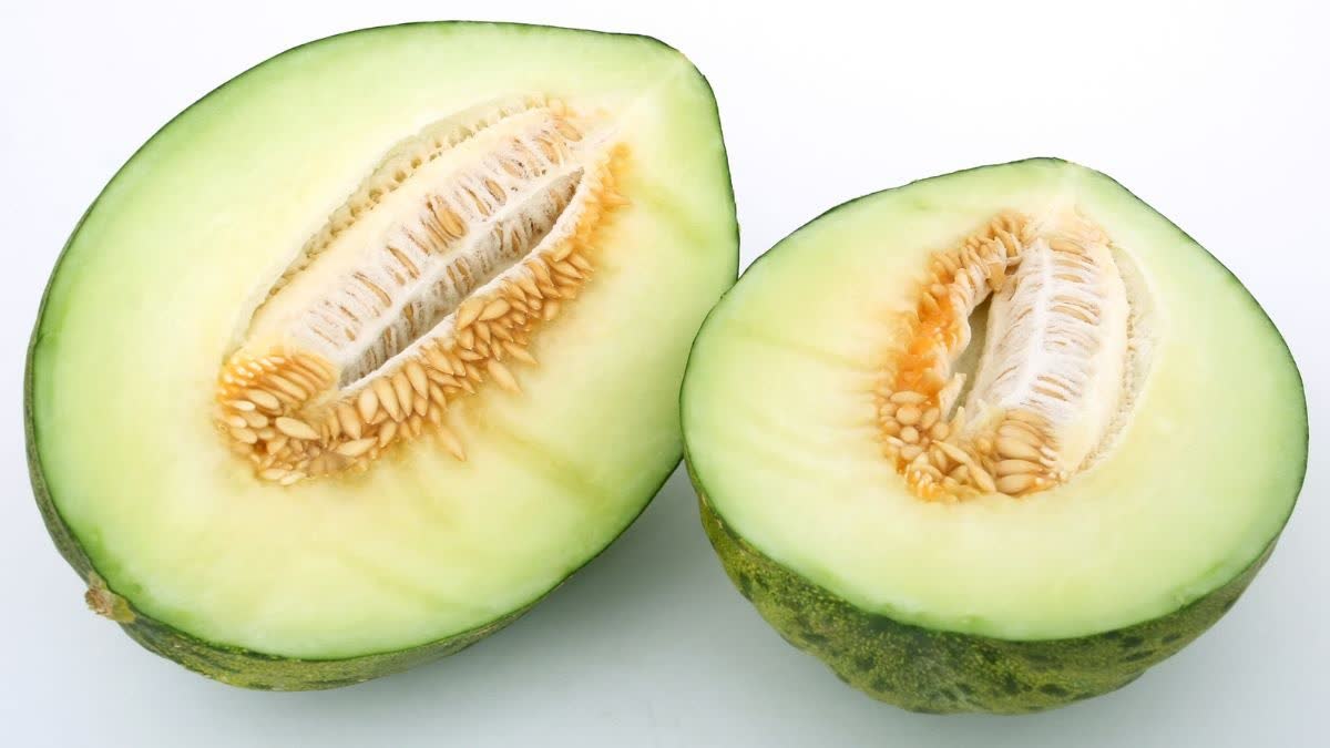 Melon seeds Benefits