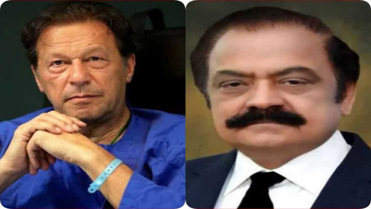 Rana Sanaullah on Imran Khan