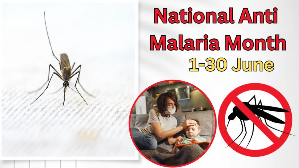 National Anti Malaria Month