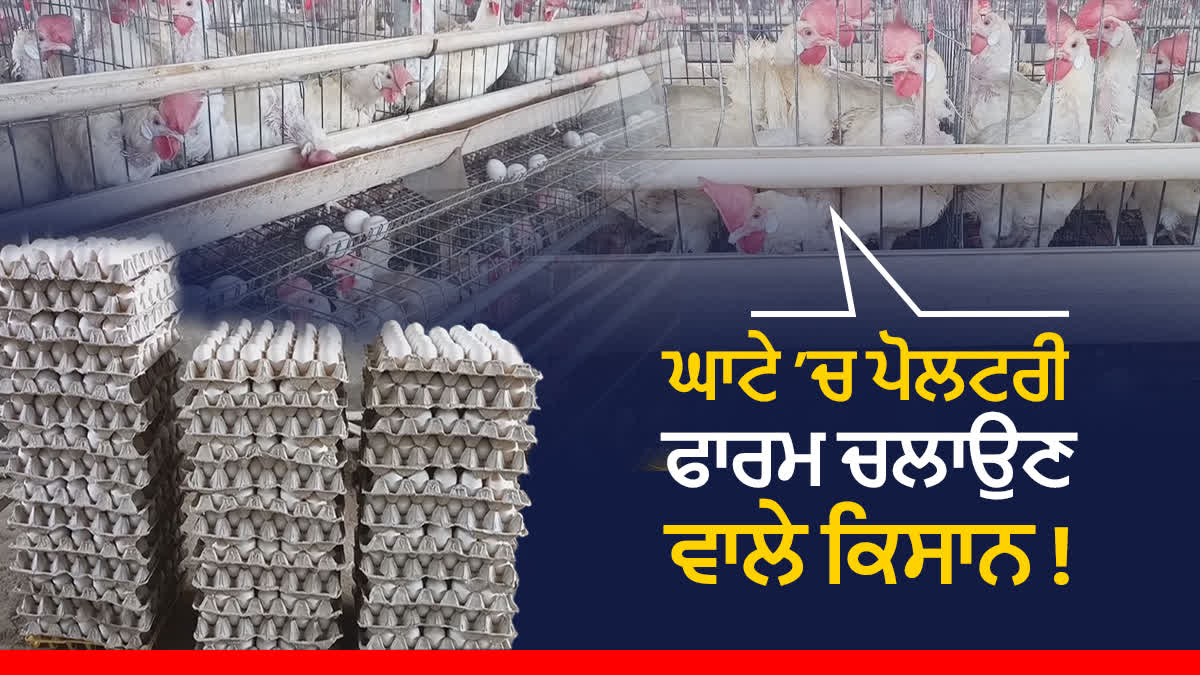 Demand for MSP on Eggs, Bathinda, Poultry Farms