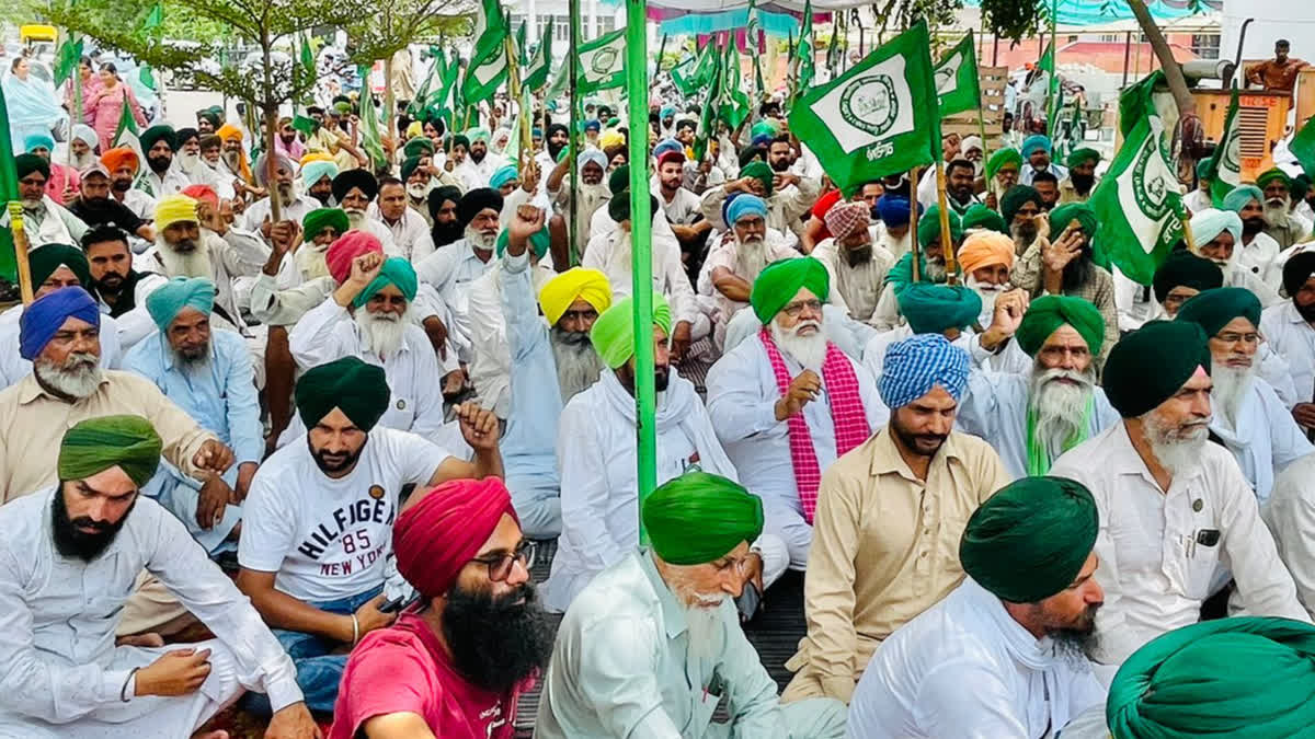 Farmers Protest continues front of Barnala DC office