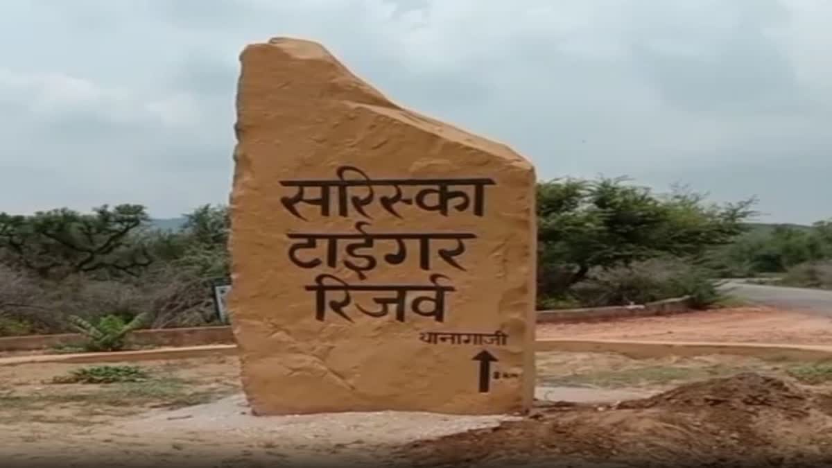 सरिस्का टाईगर रिजर्व