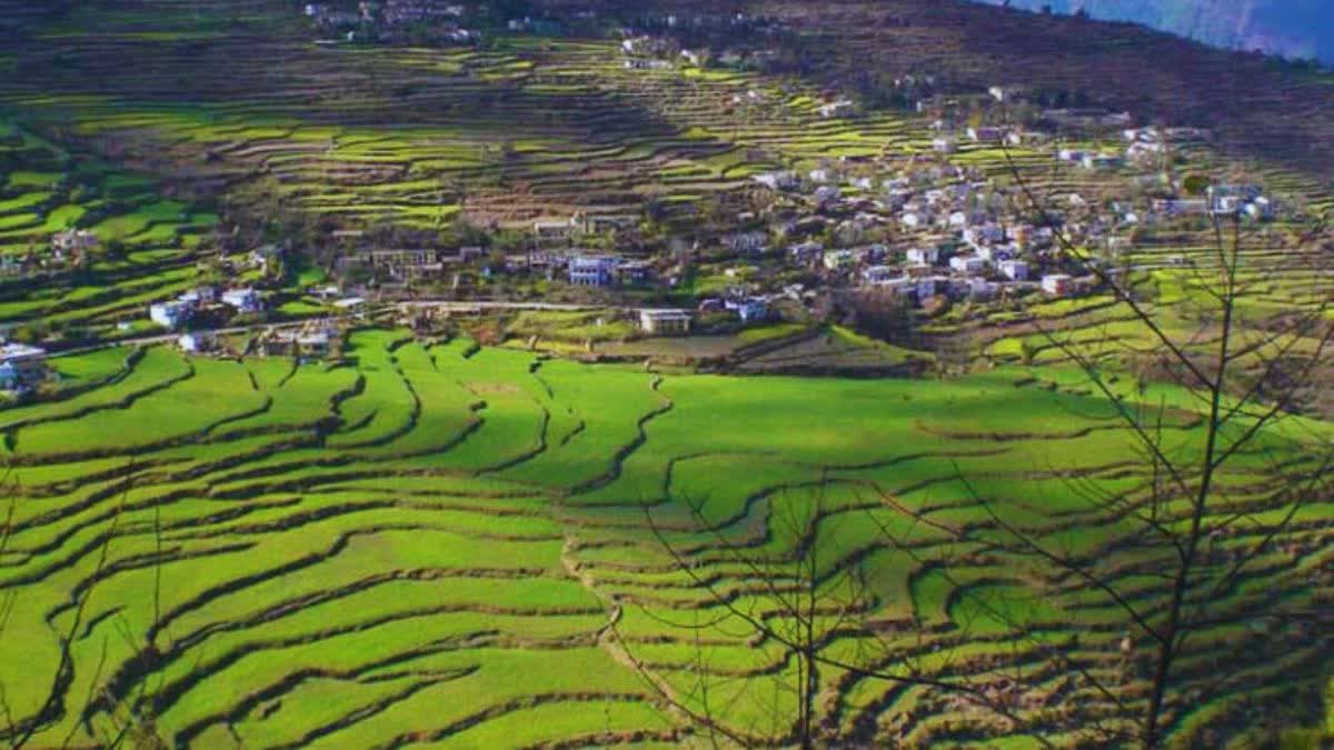 Uttarakhand Cooperative Farming