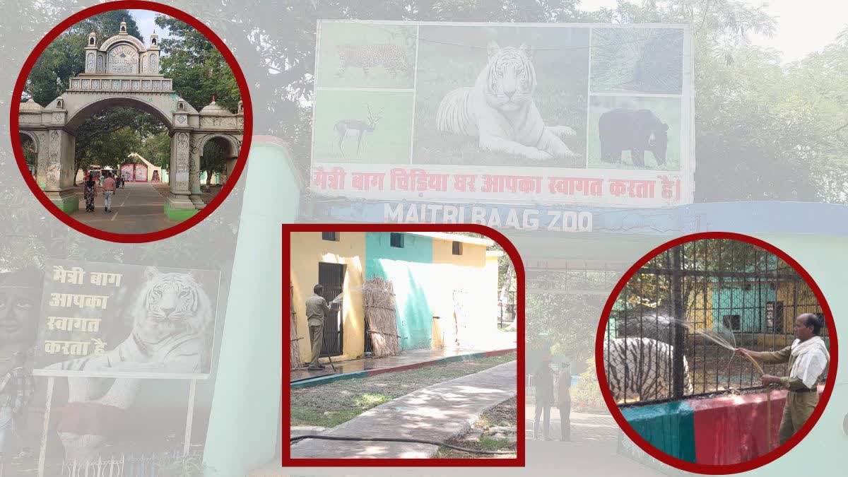 Bhilai Maitri Bagh Zoo
