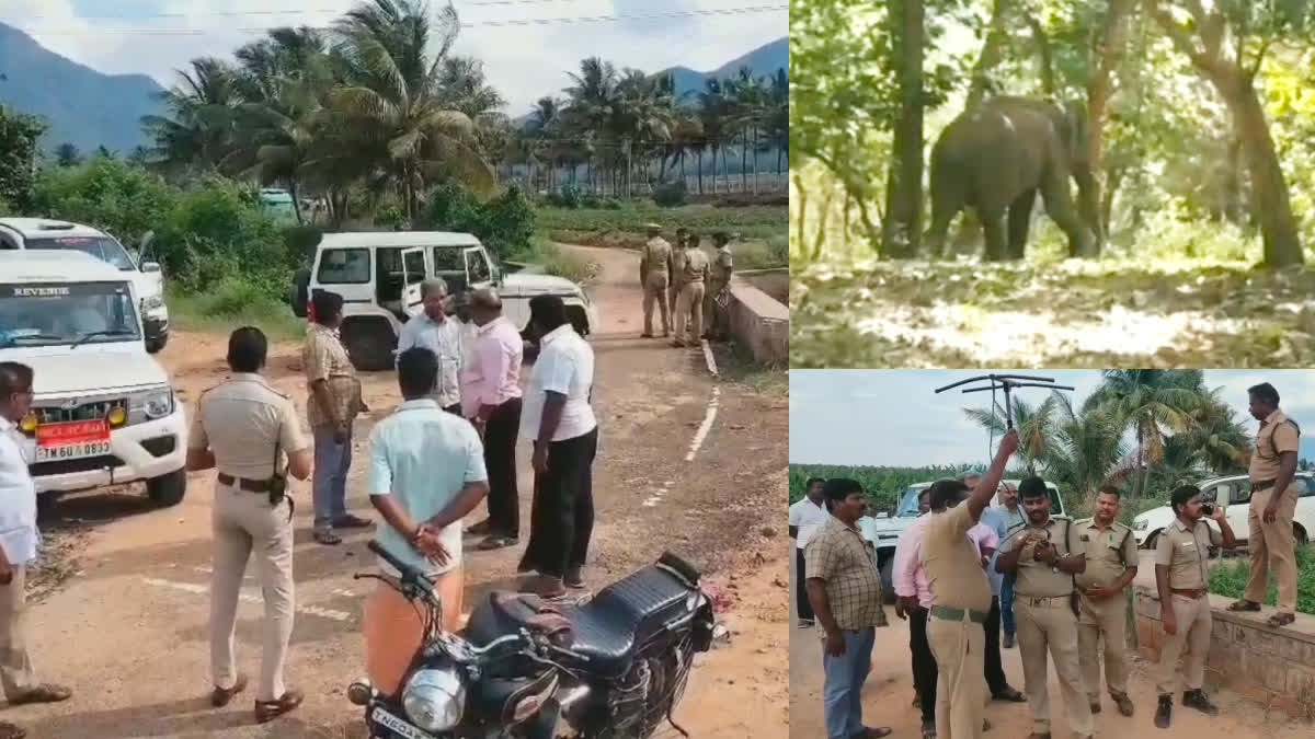 forest department has said that the 144 prohibitory order will continue until Arikomban elephant catches