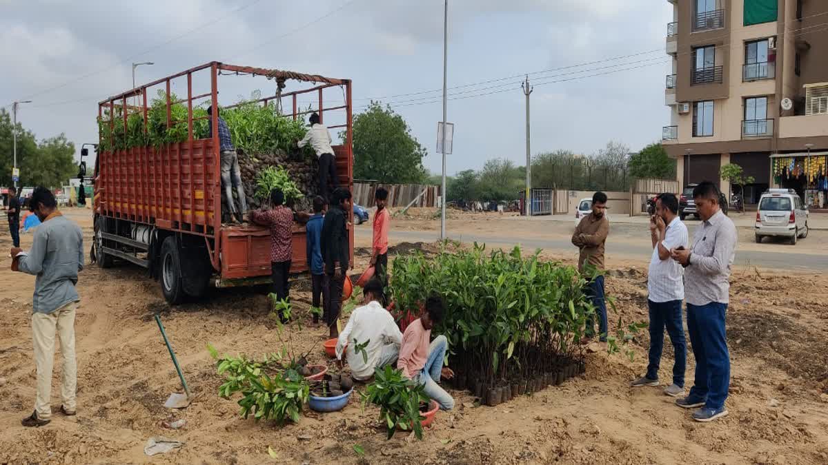 World Environment Day : અમદાવાદીઓને મળશે ઓક્સિજન પાર્કની ભેટ, આકર્ષણ વસ્તુથી બનશે અનોખું