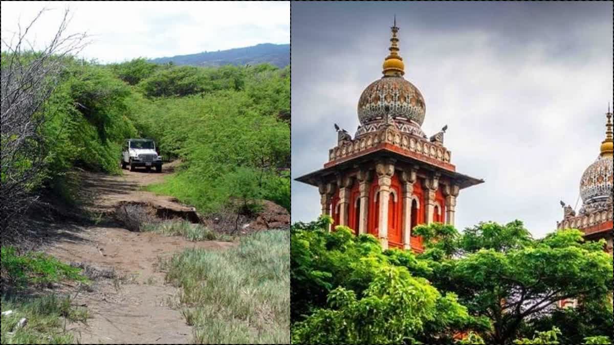 டெண்டர் ஒதுக்கப்படாத பகுதிகளில் கருவேல மரங்களை வெட்டுக்கூடாது  சென்னை உயர்நீதிமன்றம் அதிரடி உத்தரவு