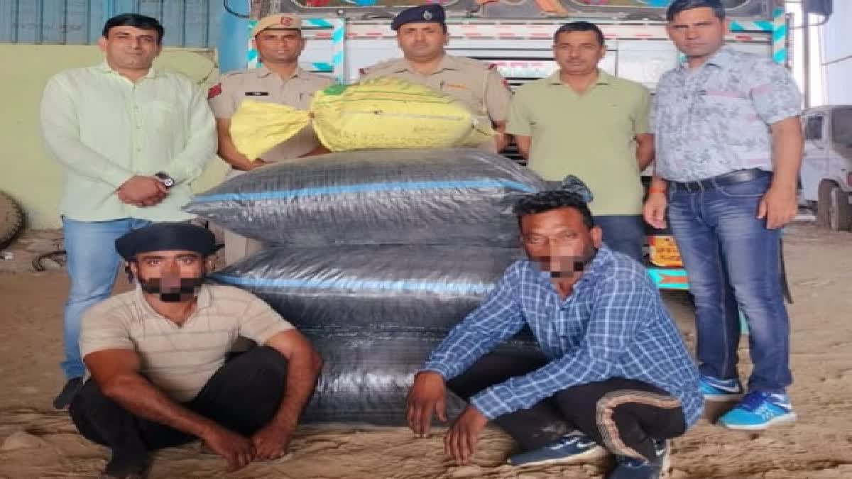 Drug Smuggler Arrested in Karnal