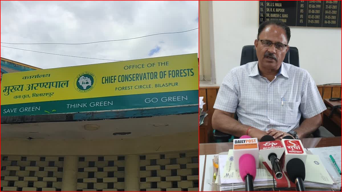 Forest department will develop 2 model nurseries in Bilaspur circle.