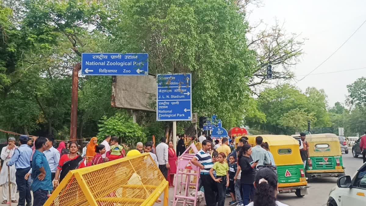 Thousands of people arrived to visit delhi zoo