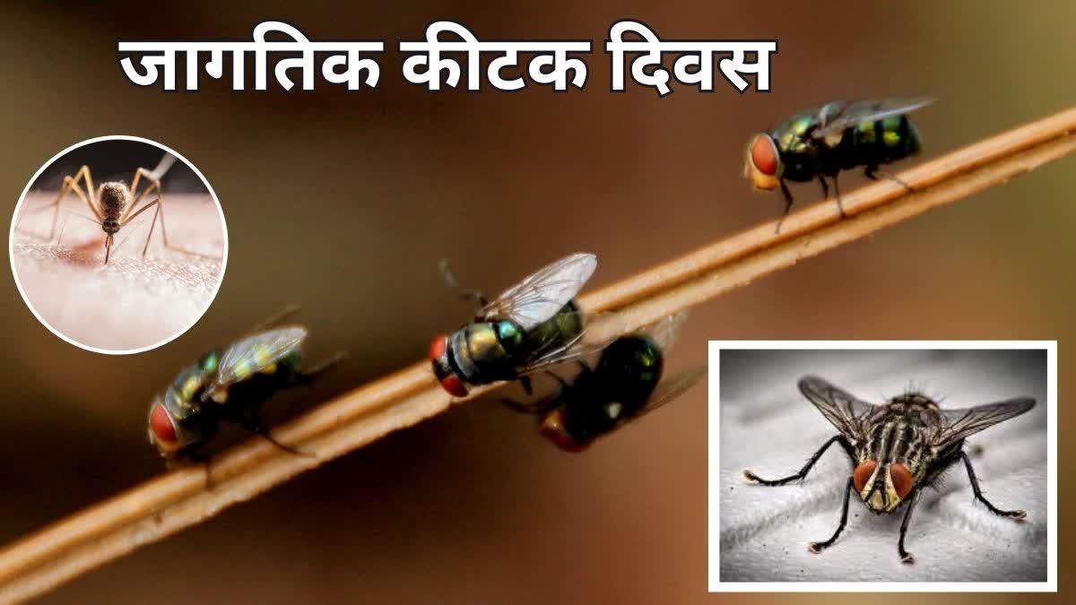 World Pest Day 2023