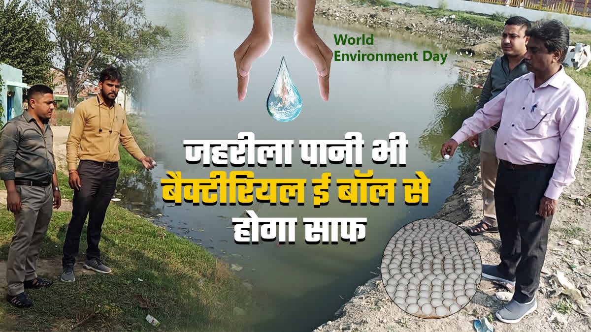 World Environment Day