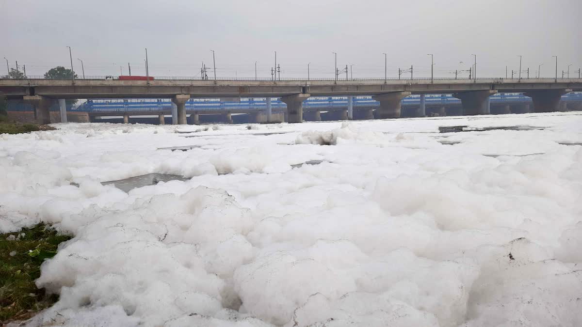 Pollution Increased in Yamuna