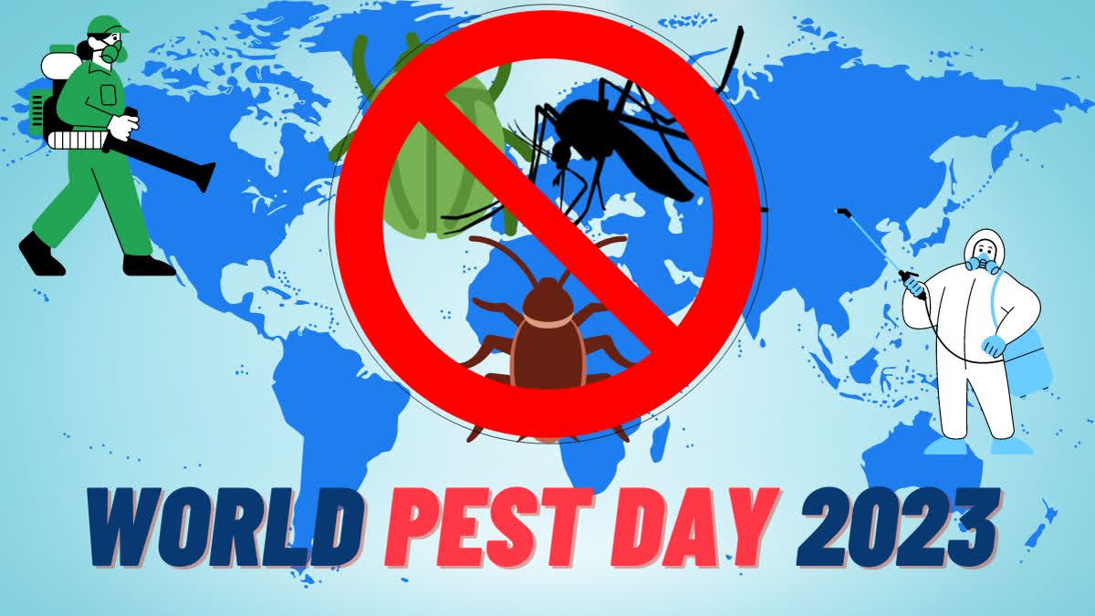 Etv BharatWorld Pest Day 2023