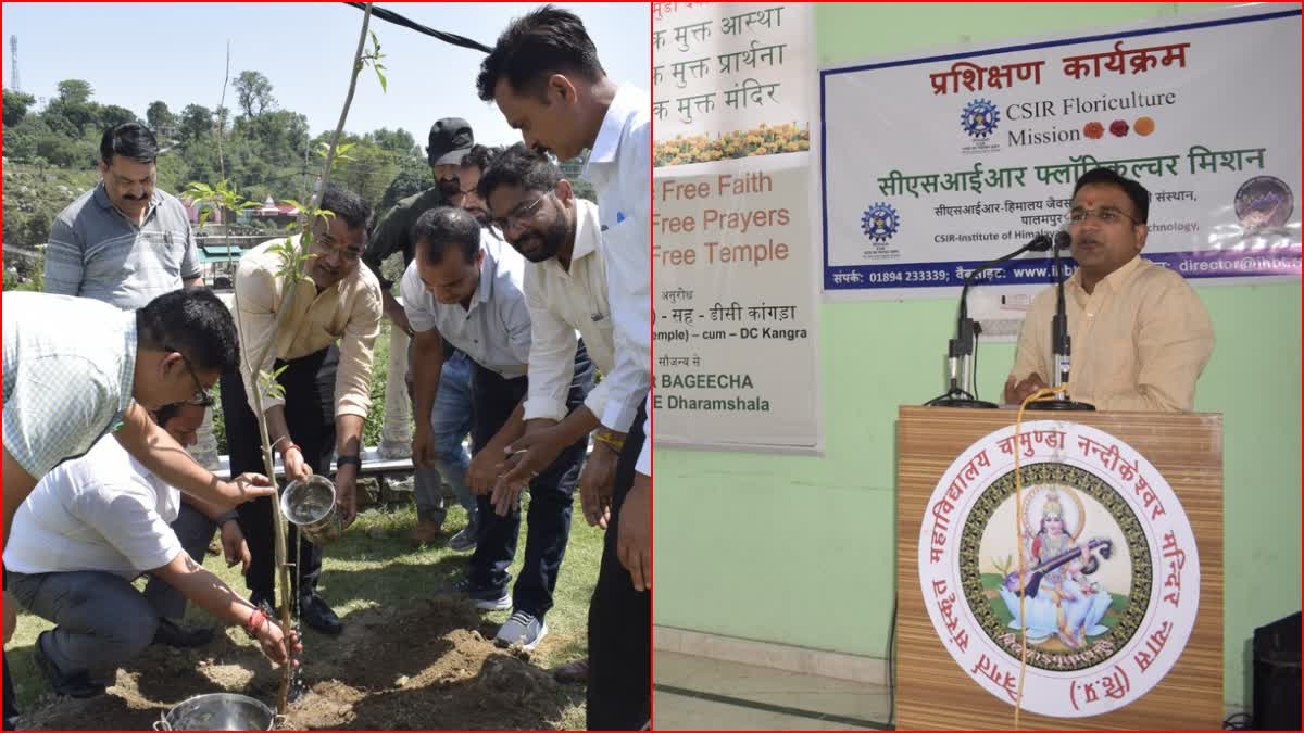 plastic free temple project In Kangra