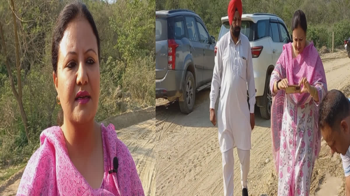 The woman leader of BJP made serious accusations against AAP and Congress regarding illegal mining