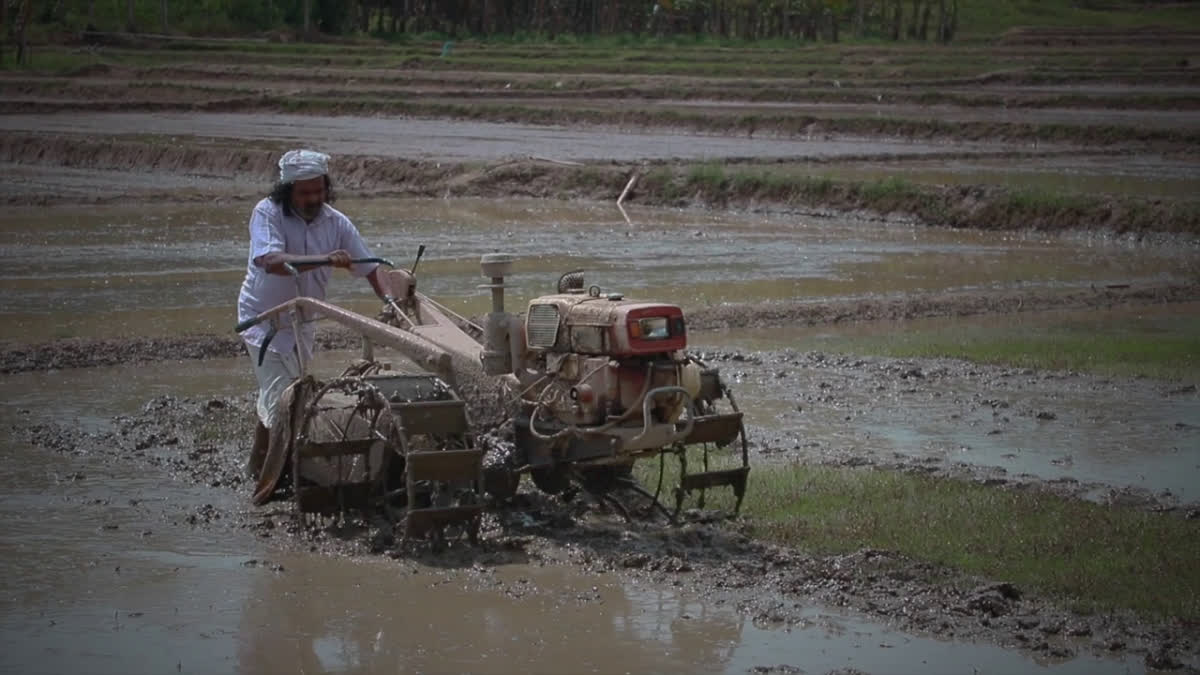 ramadas documentary film  cheruvayal raman  cheruvayal raman padma shri  padma shri  ചെറുവയല്‍ രാമൻ  നെകല്‍  ചെറുവയല്‍ രാമൻ പത്മശ്രീ  ഡോക്യുമെന്‍ററി ചെറുവയല്‍ രാമൻ  എം കെ രാമദാസ്  മാധ്യമപ്രവർത്തകൻ എം കെ രാമദാസ്  തലക്കര ചെറിയ രാമന്‍  നെൽ വിത്ത് സംരക്ഷണം  നെല്ലുമനുഷ്യന്‍റെ കഥ  നെകല്‍ നെല്ലുമനുഷ്യന്‍റെ കഥ