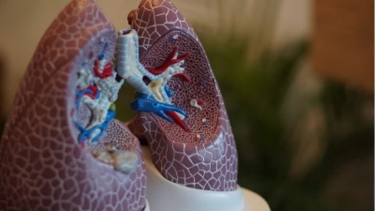 Lung Cancer New Drug