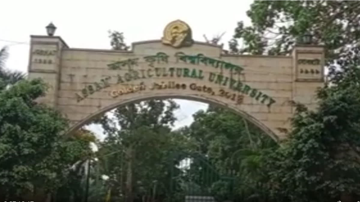 Assam Agricultural University