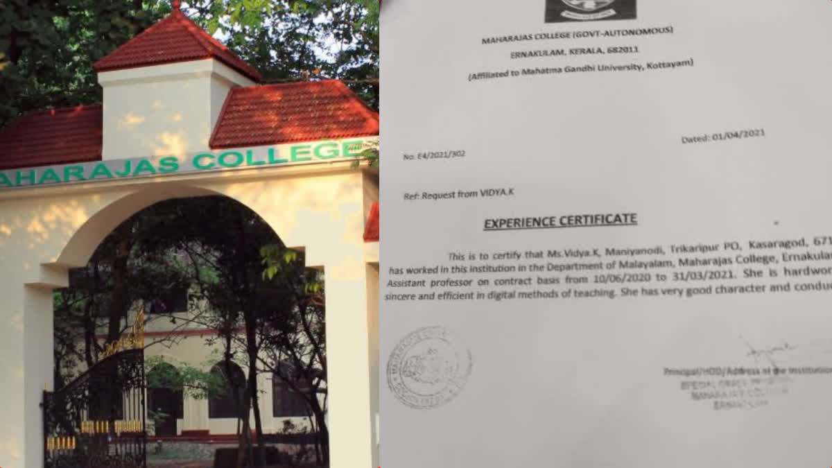 duplicate certificat divya  k vidya  k vidya maharajas college  k divya fake certificate  ernakulam maharajas college  kasaragod college  kasaragod karinthalam govt college  കെ വിദ്യ  കെ വിദ്യ വ്യാജ സര്‍ട്ടിഫിക്കറ്റ്  വ്യാജ സര്‍ട്ടിഫിക്കറ്റ് ജോലി  മഹാരാജാസ് കോളജ്  എറണാകുളം മഹാരാജാസ് കോളജ്  കാസര്‍കോട് കരിന്തളം ഗവ കോളജ്