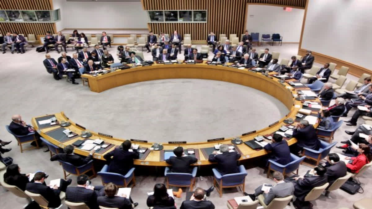 Five nations elected to UN Security Council