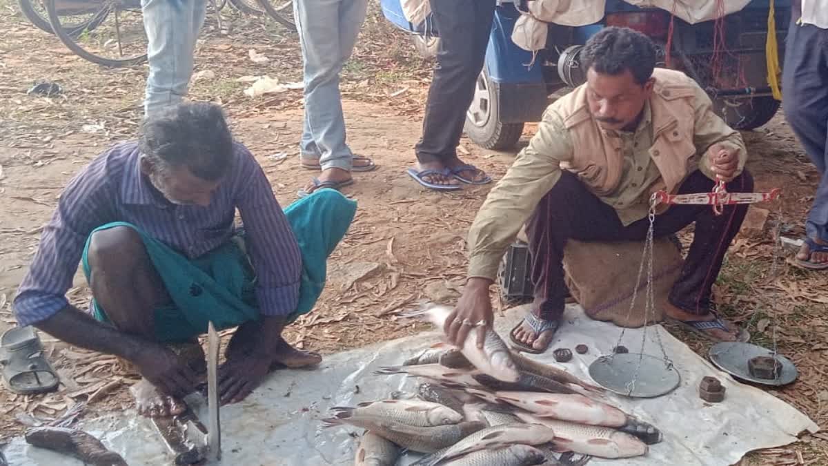 Gumla People Earning through Fisheries