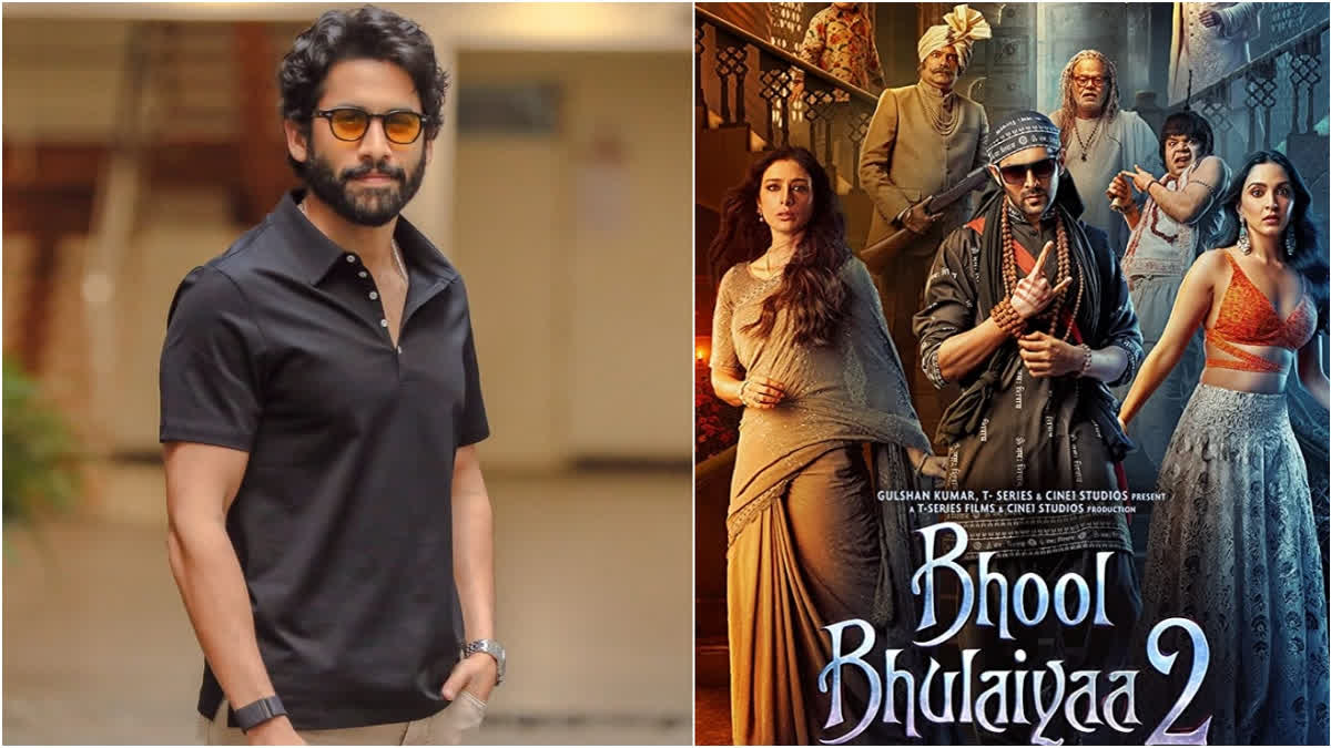 Will Naga Chaitanya star in Bhool Bhulaiyaa 2 remake? Actor's team reacts