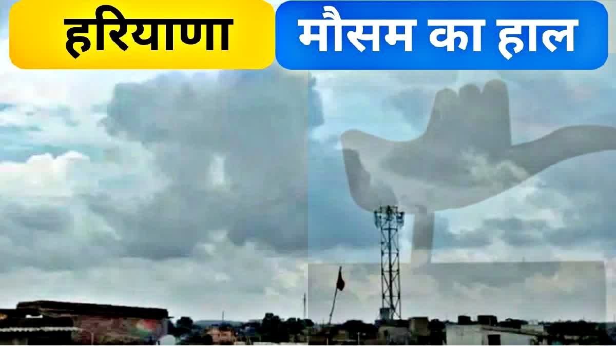 haryana weather forecast