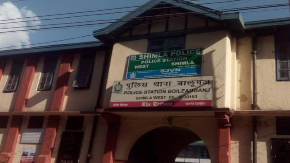 shimla Crime News