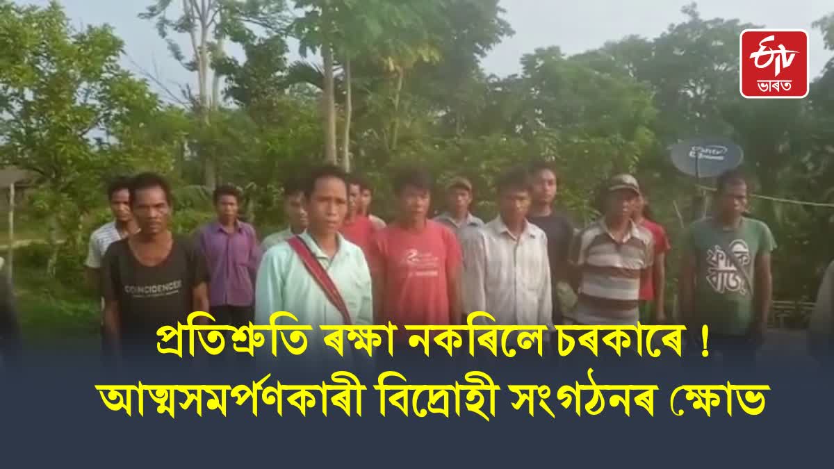 Militant groups in Barak valley