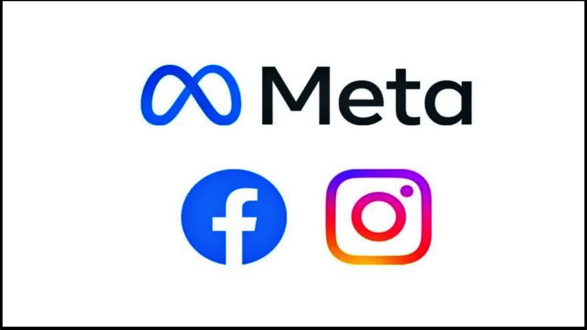 Meta verification service