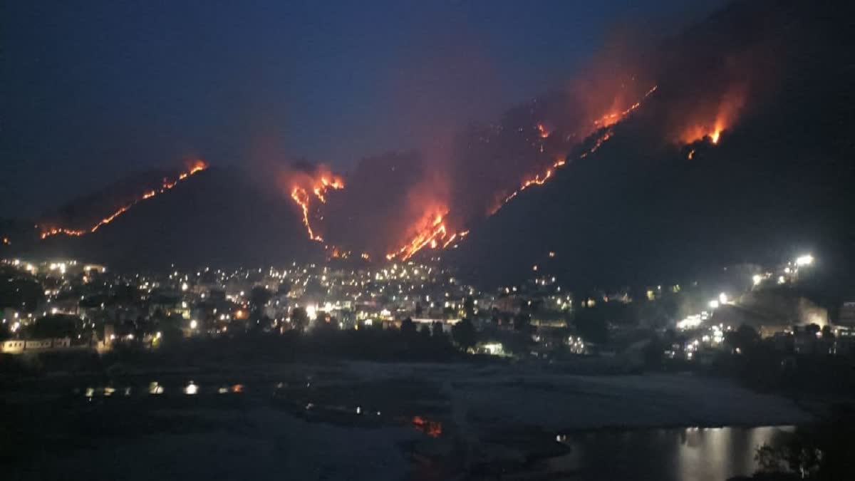 srinagar forest fire