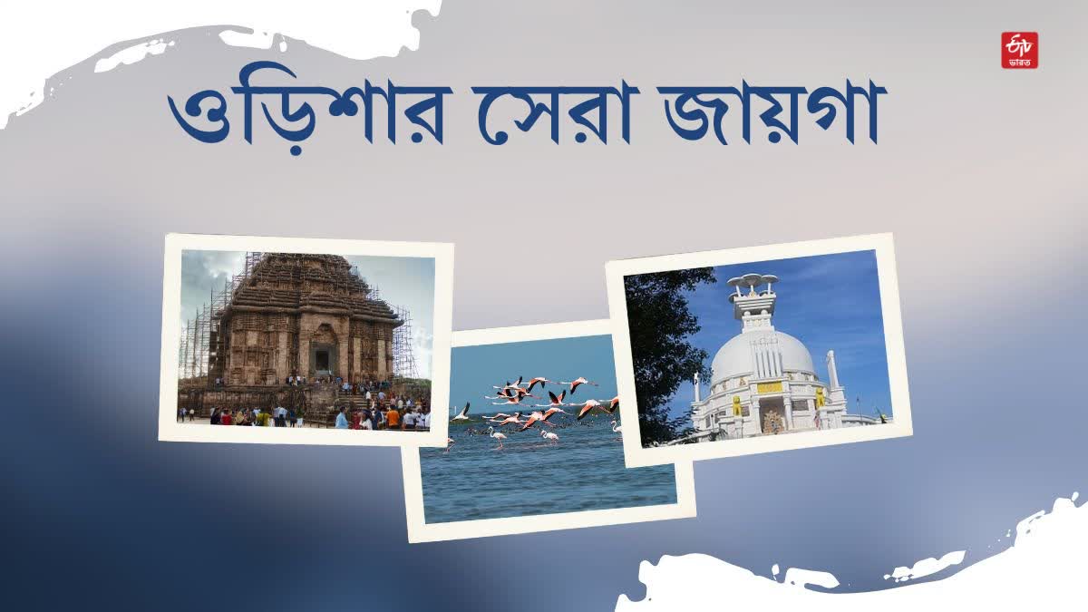 Visit Odisha News