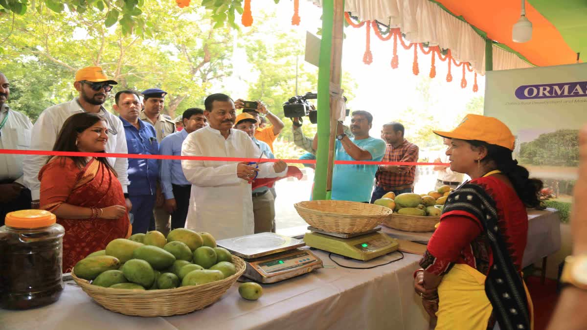 Mango on wheel