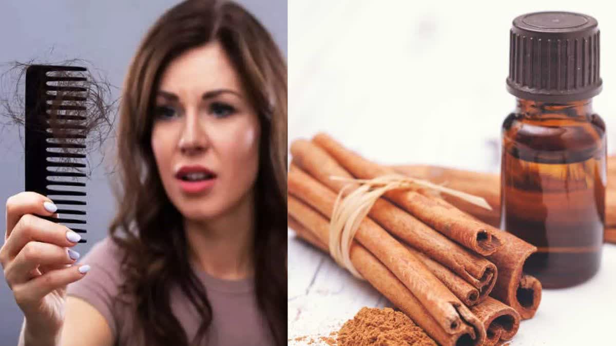 Cinnamon oil benefits