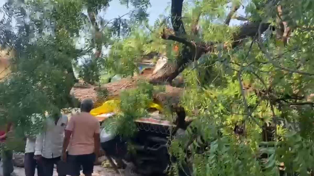 Rain Havoc in Jhalawar