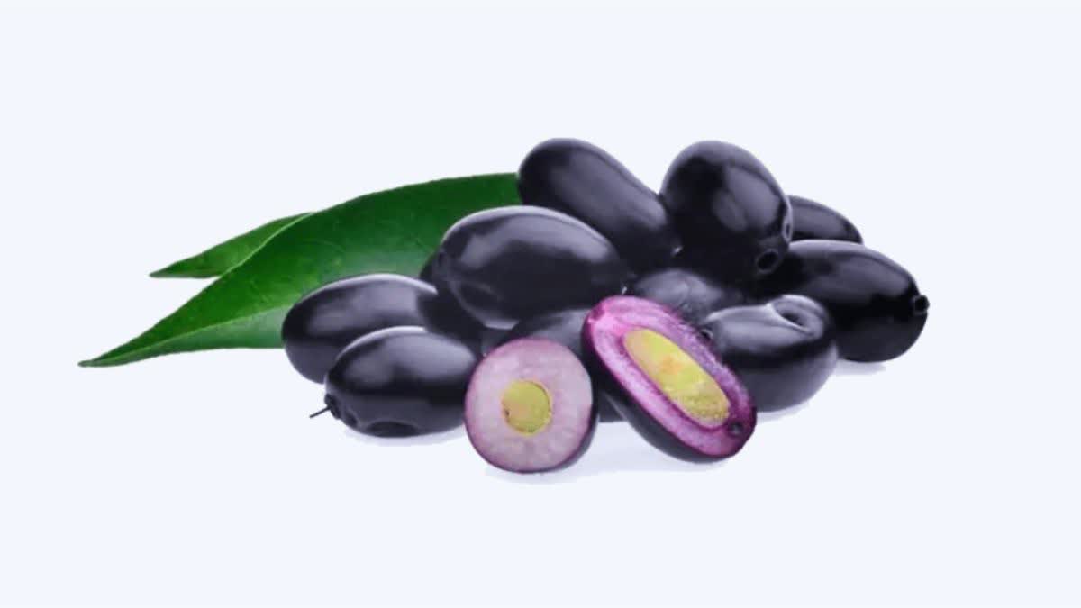 JAMUN SEEDS