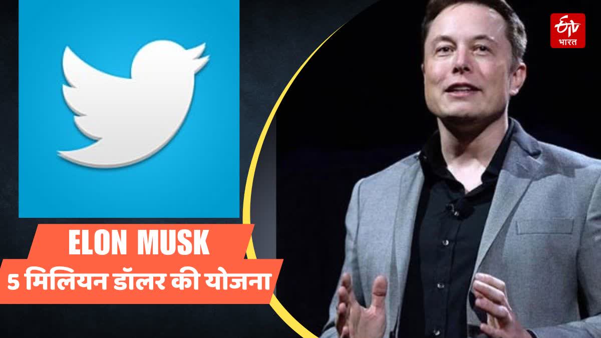 Elon Musk Twitter will soon start paying creators for ads placed in replies