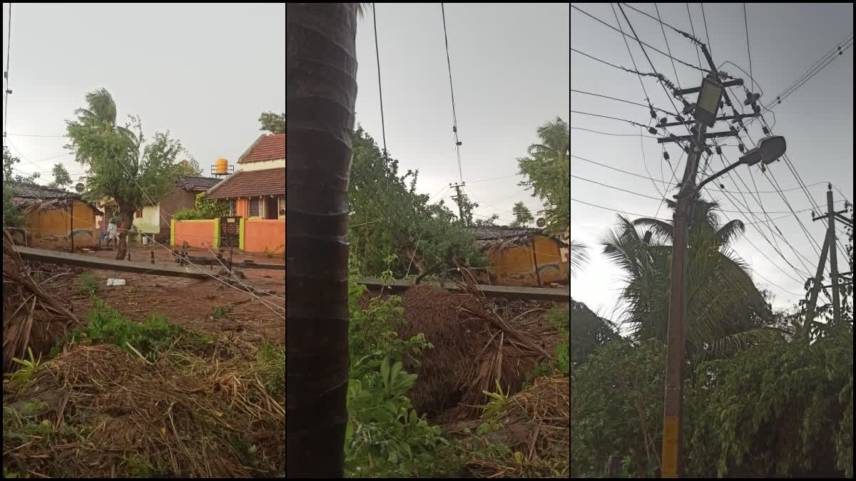 Power poles toppled down