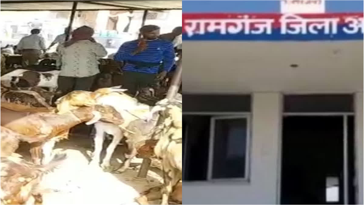 Ajmer bakra mandi fraud