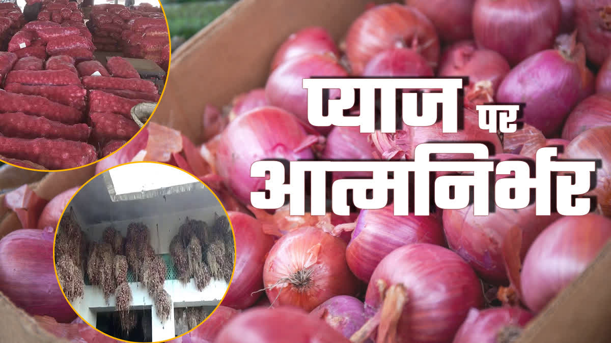 Alwar Farmers producing onion seeds