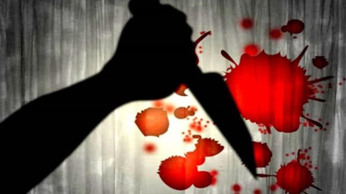 car driver called friends for attack in Chittorgarh, 4 injured in stabbing