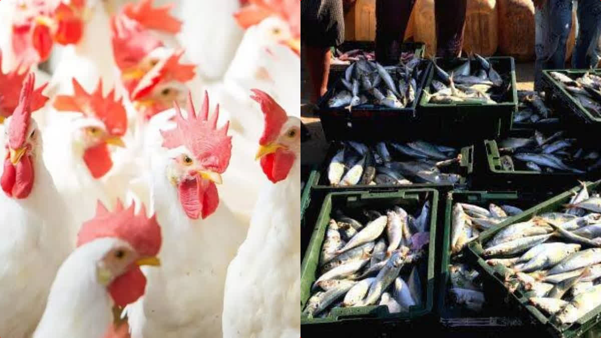 Huge Price hike for chicken  Huge Price hike for Fish  Huge Price hike for chicken and Fish  Huge Price hike for chicken and Fish in Kerala  Price hike in Kerala Reasons Explained  Trolling raises price and necessity of Fish  chicken  Fish  ഉത്തരമില്ലാതെ കുതിച്ചുയര്‍ന്ന് കോ​ഴി​വി​ല  കോ​ഴി​വി​ല  കേരളത്തില്‍ കോ​ഴി​വി​ല  കോ​ഴി​വി​ല ഇന്ന്  ട്രോളിങ് തളര്‍ത്തി മത്സ്യ വിപണി  മത്സ്യ വിപണി  ഒരു കിലോ കോഴി ഇറച്ചിക്ക്  സം​സ്ഥാ​ന​ത്ത് കുതിച്ചുയർന്ന് കോ​ഴി​വി​ല  വിപണി  കോഴി ഇറച്ചി