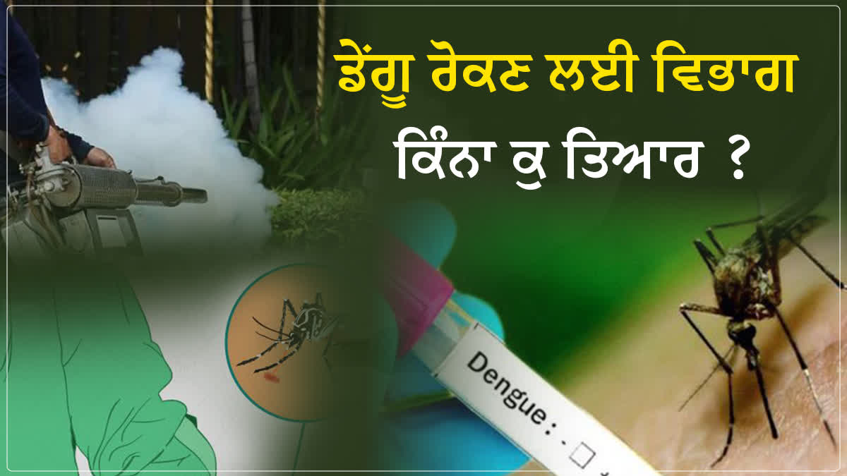 Dengue In Punjab, Bathinda