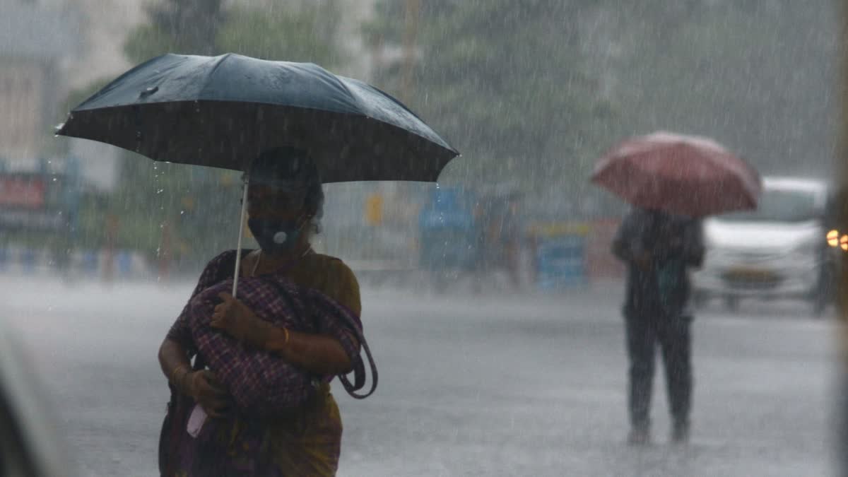 Weather  കേരളത്തിൽ ഇടിമിന്നലോട് കൂടിയ മഴയ്ക്ക് സാധ്യത  കേരളത്തിൽ മഴക്ക് സാധ്യത  Kerala Weather Update  യെല്ലോ അലർട്ട്  കേന്ദ്ര കാലാവസ്ഥ വകുപ്പ്  Central Meteorological Department  Kerala latest Weather Update  സംസ്ഥാനത്ത് മഴയ്‌ക്ക് സാധ്യത  ബിപര്‍ജോയ്  ഉയർന്ന തിരമാല മുന്നറിയിപ്പ്  കടൽ ക്ഷോഭം  ദേശീയ സമുദ്രസ്ഥിതി പഠന ഗവേഷണ കേന്ദ്രം