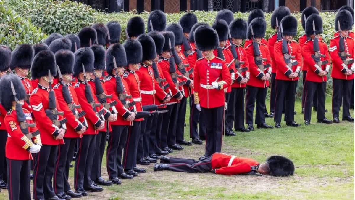 British soldiers feel the heat drop to ground in front of Prince William during parade