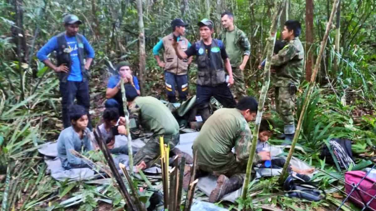 Plane crash in Amazon  40 days in Colombian jungle  children who survived 40 days in Colombian jungle  ಅಮೆಜಾನ್​ ಕಾಡಿನಲ್ಲಿ 40 ದಿನ ಮಕ್ಕಳ ನರಕಯಾತನೆ  ಕಂದಮ್ಮಗಳಿಗೆ ತಾಯಿ ಹೇಳಿದ್ದಳು ಬದುಕುವ ದಾರಿ  ತಮ್ಮ ವಿಮಾನ ಅಪಘಾತ  40 ದಿನಗಳ ಕಾಲ ಬದುಕುಳಿದ ನಾಲ್ಕು ಮಕ್ಕಳು  ಮಕ್ಕಳಿಗೆ ಧೈರ್ಯ ತುಂಬಿದ್ದ ತಾಯಿ  ಹಣ್ಣು ಹಂಪಲ ತಿಂದು ಬದುಕಿದ ಮಕ್ಕಳು  ಮೇ 1ರಂದು ವಿಮಾನ ಪತನ  ನೂರಾರು ಸೈನಿಕರಿಂದ ರಕ್ಷಣಾ ಕಾರ್ಯ