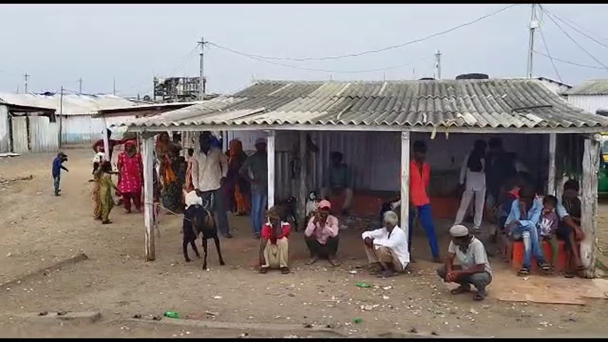 Cyclone Biparjoy : મોરબીમાં વાવાઝોડાની આફત સામે લોકોની સ્થાળતંરથી લઈને ભોજન સુધીની તમામ વ્યવસ્થા કરાઈ