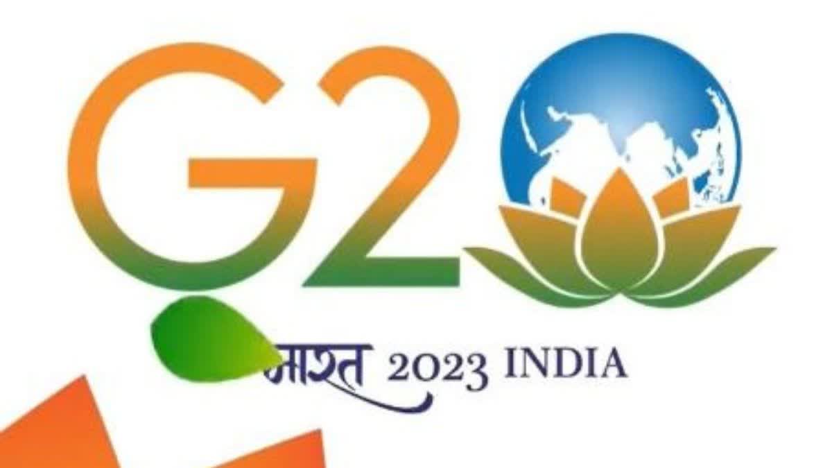 G 20